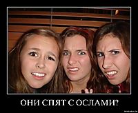 ОНИ СПЯТ С ОСЛАМИ? 