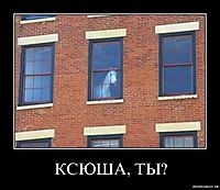 КСЮША, ТЫ? 