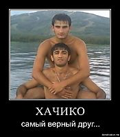 ХАЧИКО самый верный друг...