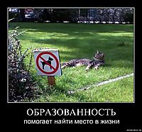 ОБРАЗОВАННОСТЬ помогает найти место в жизни