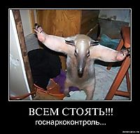 ВСЕМ СТОЯТЬ!!! госнаркоконтроль...