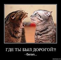 ГДЕ ТЫ БЫЛ ДОРОГОЙ?! - бегал...