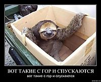 ВОТ ТАКИЕ С ГОР И СПУСКАЮТСЯ вот такие с гор и спускаются