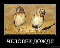 ЧЕЛОВЕК ДОЖДЯ 