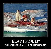 БЕАР ГРИЛЛЗ? может и видели, он не представлялся
