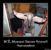 ВСЁ, Мужики! Хватит бухать!!! Пора на работу!