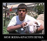 МОЯ ЖЕНА-КРАСОТУЛЕЧКА 