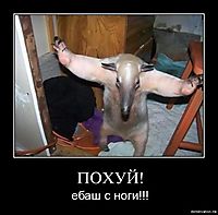 ПОХУЙ! ебаш с ноги!!!