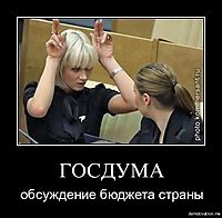 ГОСДУМА обсуждение бюджета страны
