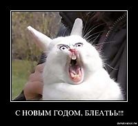 С НОВЫМ ГОДОМ, БЛЕАТЬЬ!!! 