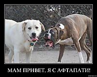 МАМ ПРИВЕТ, Я С АФТАПАТИ!