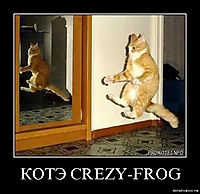 КОТЭ CREZY-FROG