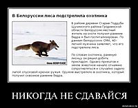 НИКОГДА НЕ СДАВАЙСЯ 