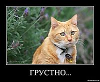 ГРУСТНО... 