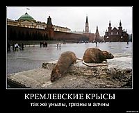 КРЕМЛЕВСКИЕ КРЫСЫ так же унылы, грязны и алчны