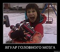 ЯГУАР ГОЛОВНОГО МОЗГА 