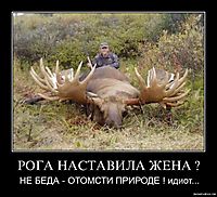 РОГА НАСТАВИЛА ЖЕНА ? НЕ БЕДА - ОТОМСТИ ПРИРОДЕ ! идиот...