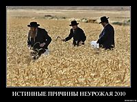 ИСТИННЫЕ ПРИЧИНЫ НЕУРОЖАЯ 2010 