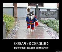 СОБАЧЬЕ СЕРДЦЕ 2 режиссёр: фёдор бондарчук