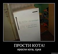 ПРОСТИ КОТА! прости кота, сука