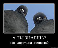 А ТЫ ЗНАЕШЬ? как насрать на человека?