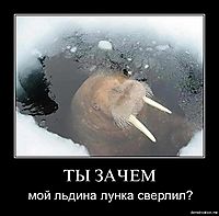 ТЫ ЗАЧЕМ мой льдина лунка сверлил?