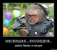 МИЛИЦИЯ... ПОЛИЦИЯ... дайте банан в натуре