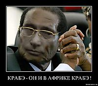 КРАБЭ - ОН И В АФРИКЕ КРАБЭ ! 