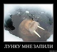 ЛУНКУ МНЕ ЗАПИЛИ 
