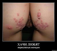 ХАЧИ ЛЮБЯТ переспелых женщин
