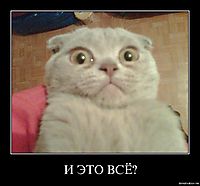 И ЭТО ВСЁ? 