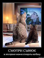 СМОТРИ СЫНОК в это время можно спиздить колбасу