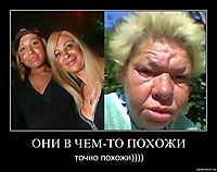ОНИ В ЧЕМ-ТО ПОХОЖИ точно похожи))))