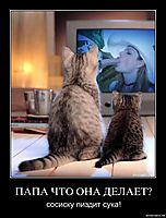 ПАПА ЧТО ОНА ДЕЛАЕТ? сосиску пиздит сука!