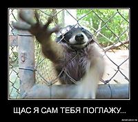 ЩАС Я САМ ТЕБЯ ПОГЛАЖУ... 