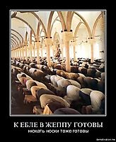 К ЕБЛЕ В ЖЕППУ ГОТОВЫ нюхать носки тоже готовы
