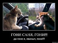 ГОНИ САНЯ, ГОНИ!!! да гоню я, иваныч, гоню!!!