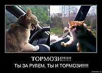 ТОРМОЗИ!!!!!! ТЫ ЗА РУЛЕМ, ТЫ И ТОРМОЗИ!!!!!