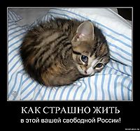 КАК СТРАШНО ЖИТЬ в этой вашей свободной России!