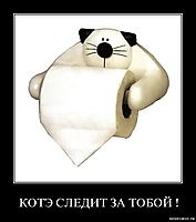 КОТЭ СЛЕДИТ ЗА ТОБОЙ !