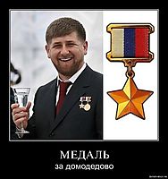 МЕДАЛЬ за домодедово