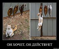 ОН ХОЧЕТ, ОН ДЕЙСТВУЕТ 