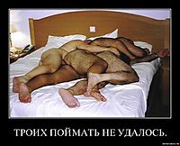 ТРОИХ ПОЙМАТЬ НЕ УДАЛОСЬ. 