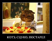 КОТЭ, СЦУКО, ПОСТАРЕЛ 