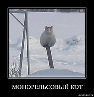 МОНОРЕЛЬСОВЫЙ КОТ 