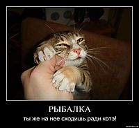 РЫБАЛКА ты же на нее сходишь ради котэ!