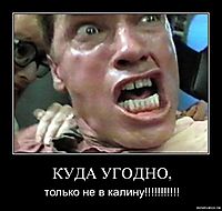 КУДА УГОДНО, только не в калину!!!!!!!!!!!