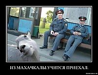 ИЗ МАХАЧКАЛЫ.УЧИТСЯ ПРИЕХАЛ. 