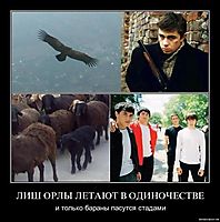 ЛИШ ОРЛЫ ЛЕТАЮТ В ОДИНОЧЕСТВЕ и только бараны пасутся стадами