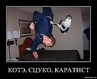КОТЭ, СЦУКО, КАРАТИСТ 